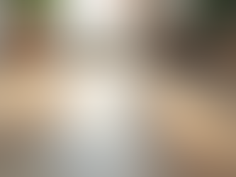 Vinyl Plank Flooring: The Phoenix Choice