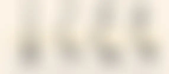 hair texture changes