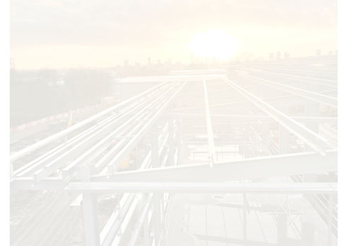 Lowery Park 2_edited_edited_edited.jpg