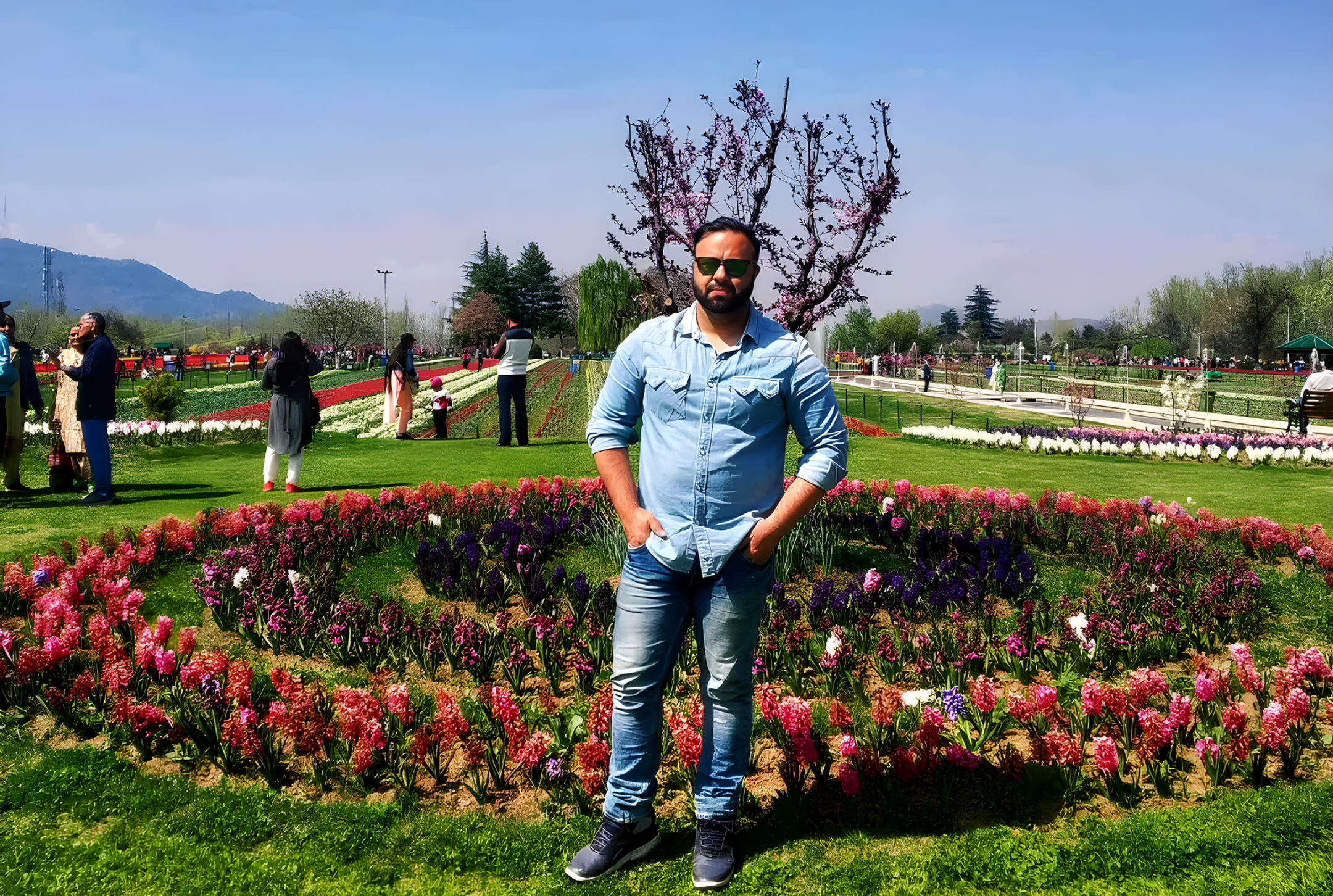 Tulip Garden Kashmir