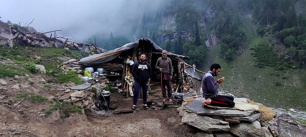 Himalayan shepherd in Marwah valley