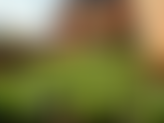 Empowering Food-Insecure Communities Through Urban Agriculture Expansion