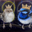 Thumbnail: Sacred Songbird Illuminations - Superb Fairy Wrens 🔴 SOLD