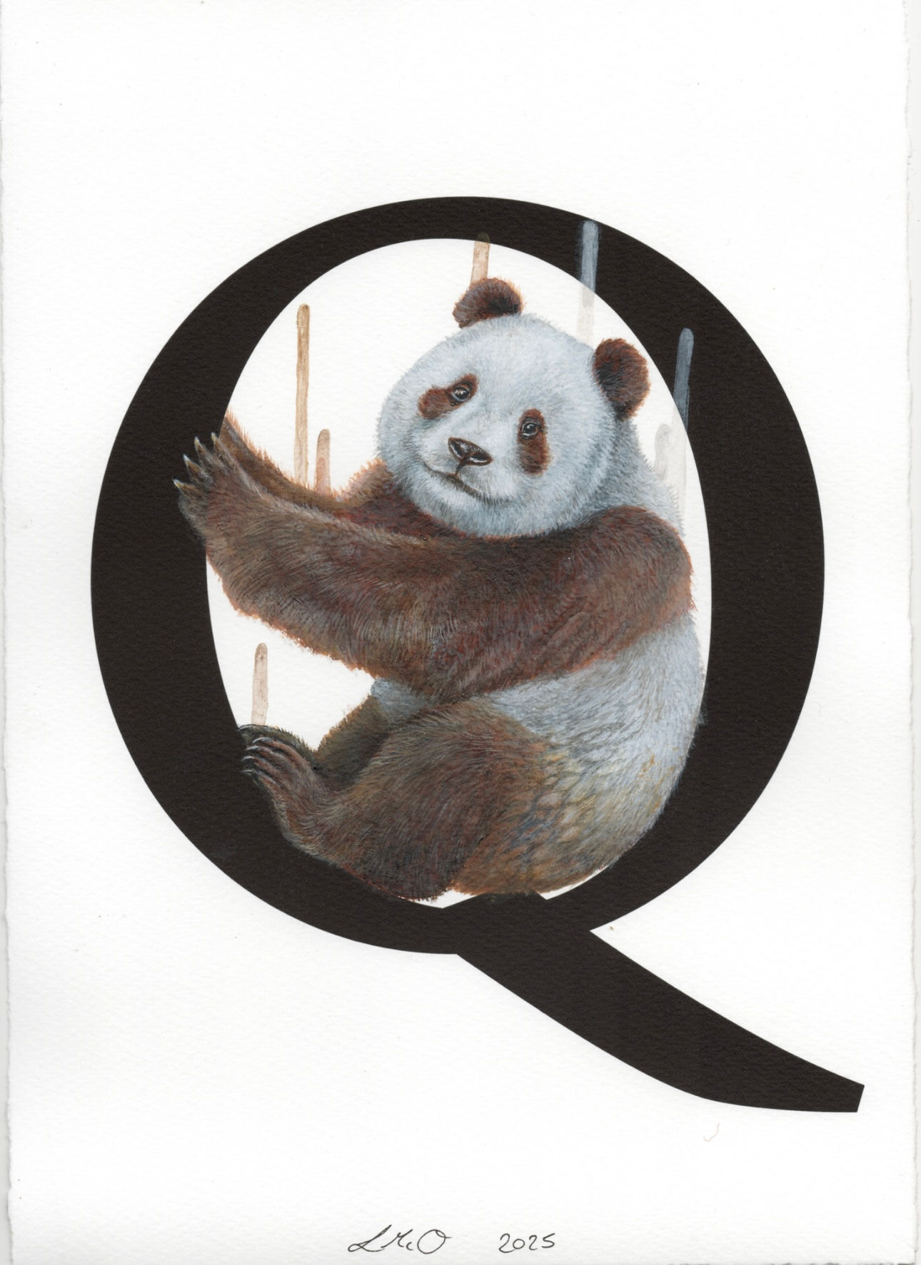 Endangered Alphabet - Qinling Panda 🔴 SOLD