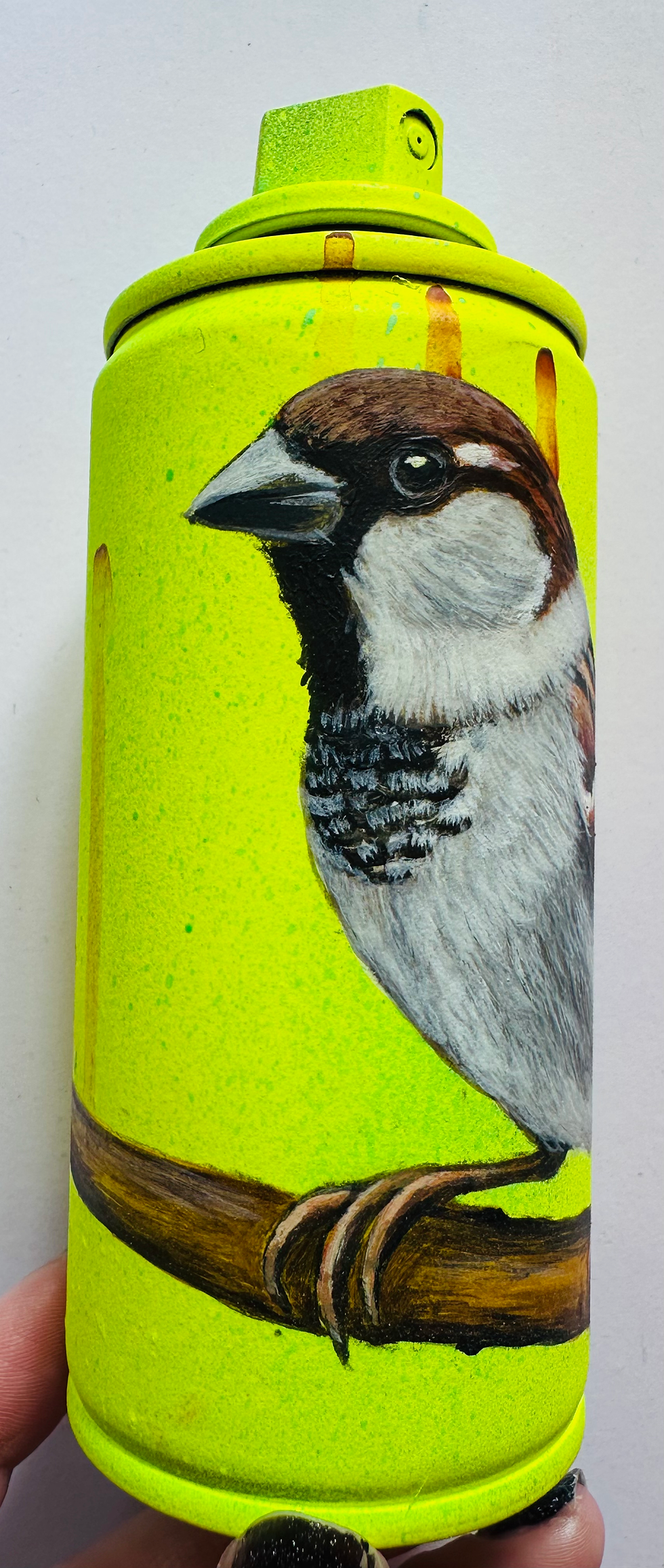 Thumbnail: Urban Canimal Series - Mini - Scrutinising Sparrow