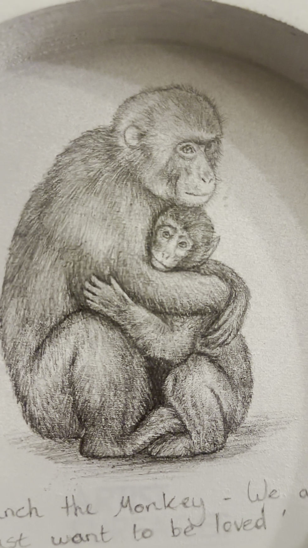 Thumbnail: Punch the Baby Monkey - We All Want to be Loved (Viral Relics Collection) SOLD🔴