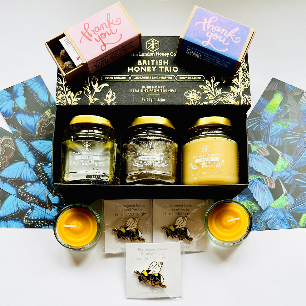 Thumbnail: Hive Mind Series - Solitary Asian Blue Carpenter Bee 🔴 SOLD