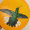 Thumbnail: White Tailed Sabrewing Hummingbird - Iridescent  Series 🔴