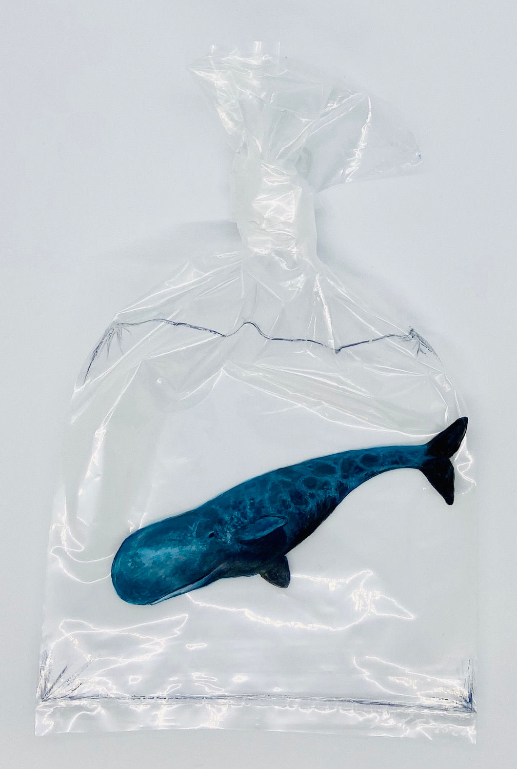 Sperm Whale (It’s in the Bag Series)