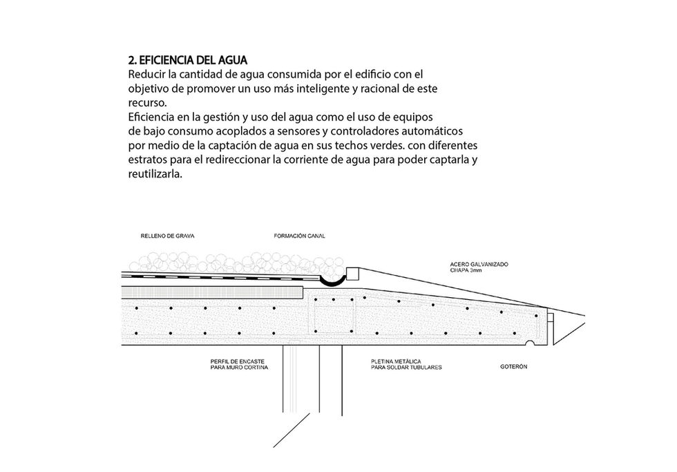 c6.jpg