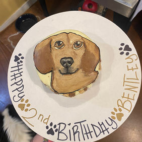 Specialty Dog Birthday Cakes - Mount Juliet, TN