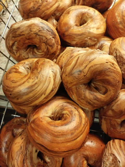 Bagels, Mt. Juliet, TN