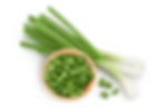 Scallion