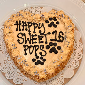 Specialty Dog Birthday Cakes - Mount Juliet, TN