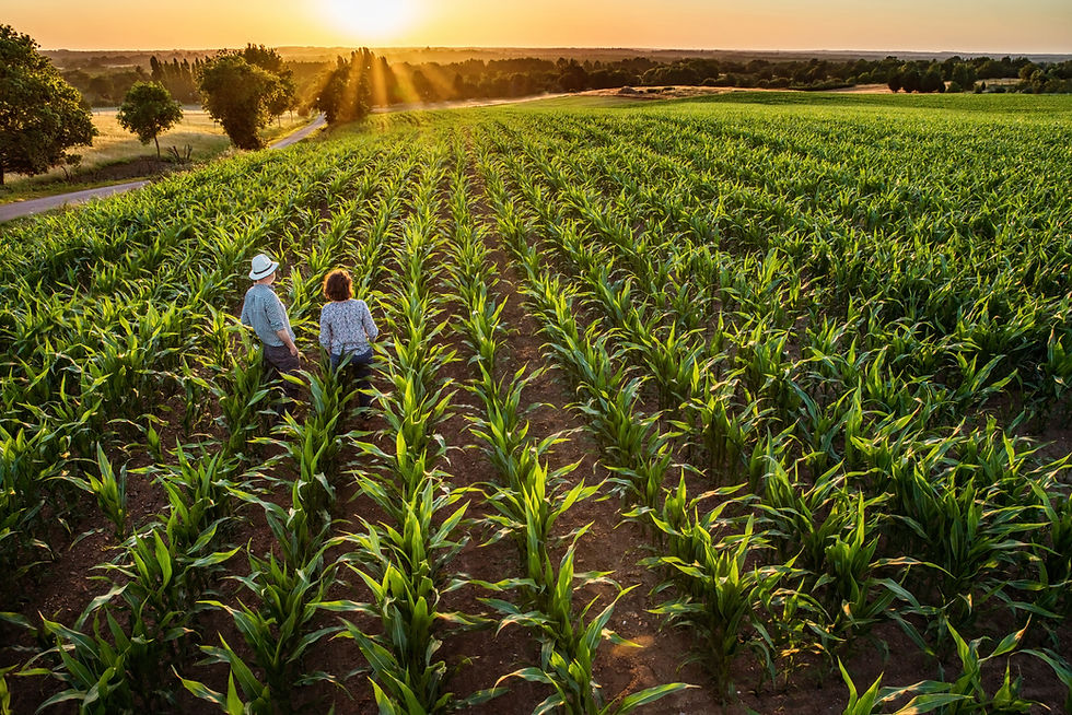 Top view. A farmer and his wife standing | Truhlsen & Vogel Estate Planning | Blair, NE