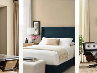 2026 Color Trend Predictions!