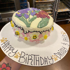 Specialty Dog Birthday Cakes - Mount Juliet, TN