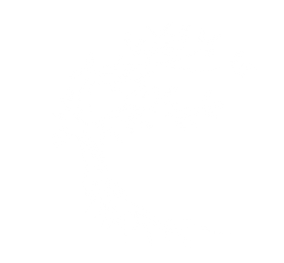 Logo | The Roots Of Vitality - Marina Kotova - Health & Wellness Coach, Nutritionist Serving DMV: District of Columbia, Maryland, Virginia, & Surrounding Areas