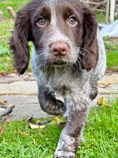 571336572_122248523792162771_11562439029