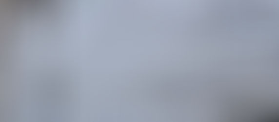 The magic of Swarovski crystals - New Art Collection