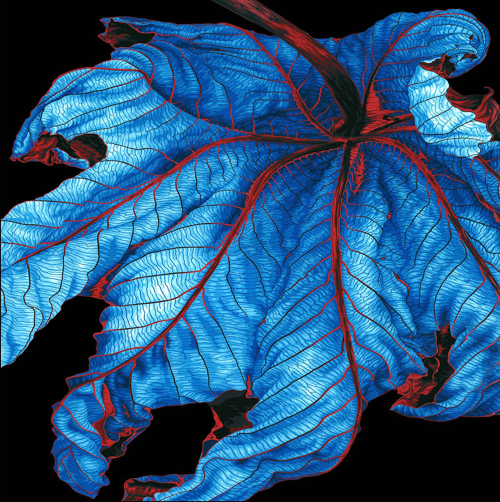 Wood marquetry - Alexander's Collection art gallery