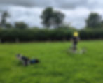 366805315_248501081469936_2661327741238297230_n