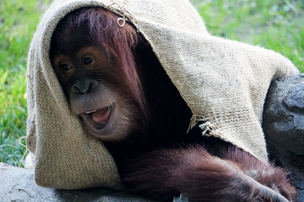 DSC03735 (Edited).jpg