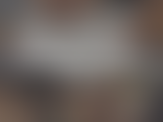 Insikt Nr 4 - Holistalsrapport 2025