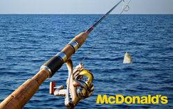 catch-afilet-600x380