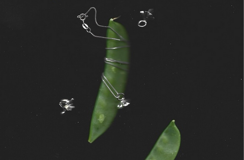 Frame 254095.png