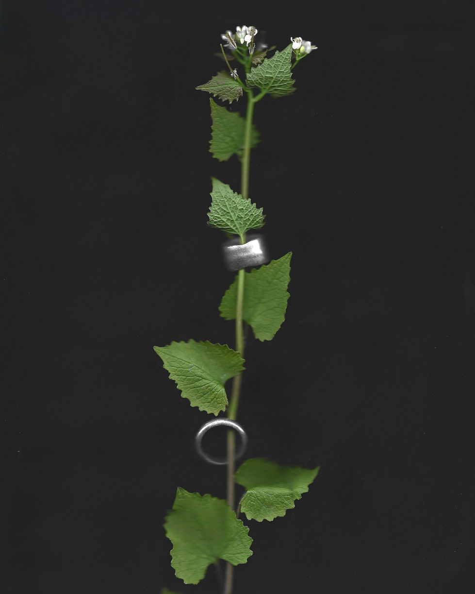 DFD50341-C182-49F6-BD09-A218F087FDDF