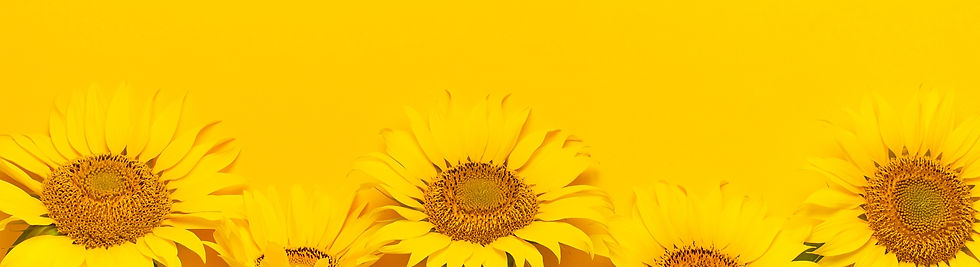 Beautiful%20fresh%20sunflowers%20with%20