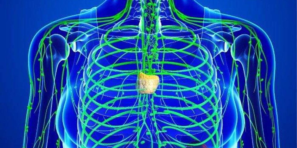 Lymphatic Wisdom: Flow & Vibration Workshop