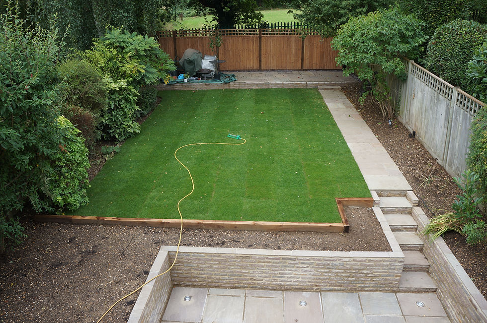 Rear garden from above