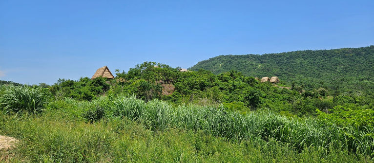 Newsletter | August 2025