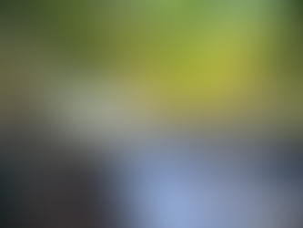 Land for Sale in Rinconada Puerto Escondido Oaxaca: Why This Nearby Property is the Smarter Choice