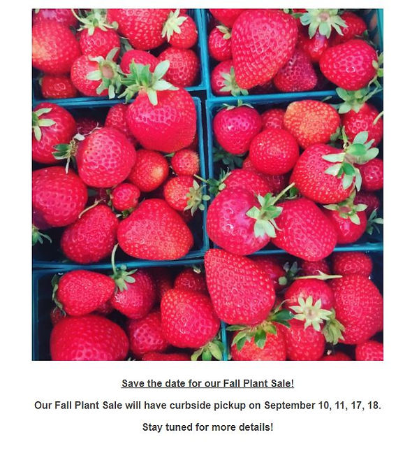 Events, Classes, Reports fivc