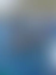 CECO's Special Olympics Article in Central Florida Lifestyle Magazine