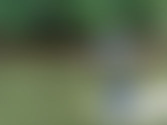 Głos świata. Część 3