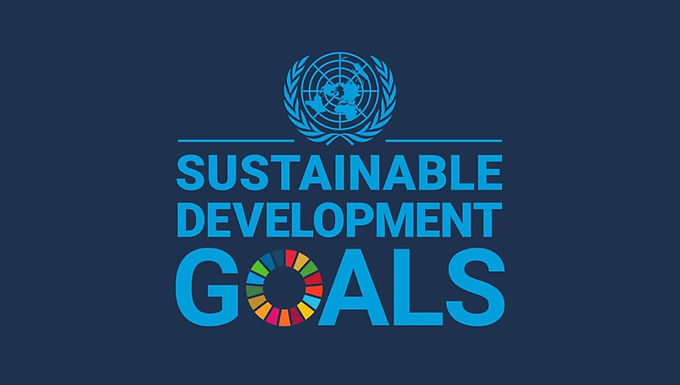 Workshop: Setting Goals and Targets in Pursuit of the SDGs