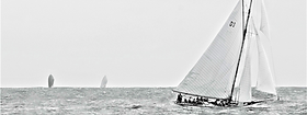 Banner_10_Principles (2).png