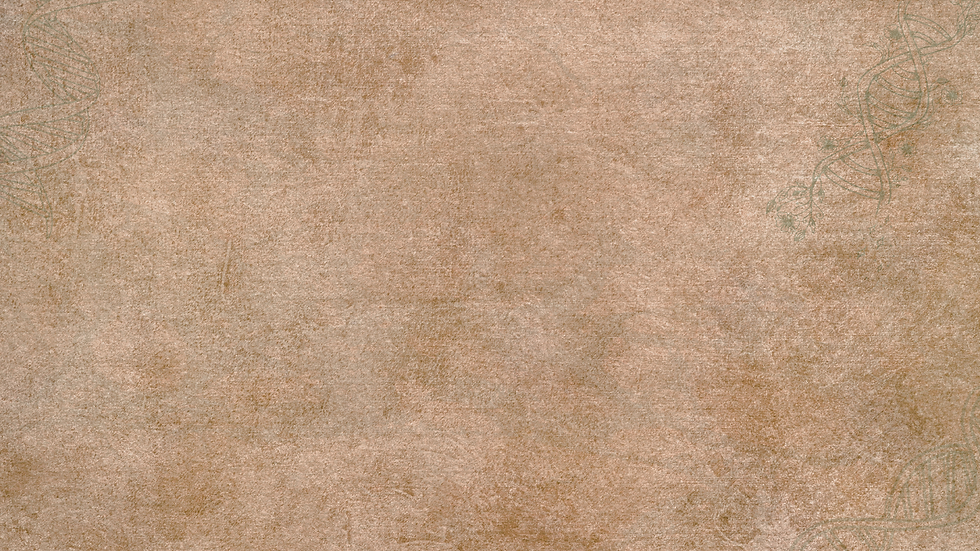 Webiste Banner (1).png