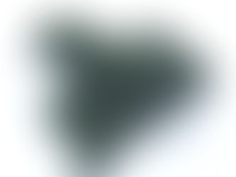 【新潟県】きゅうり 5月下旬~10月