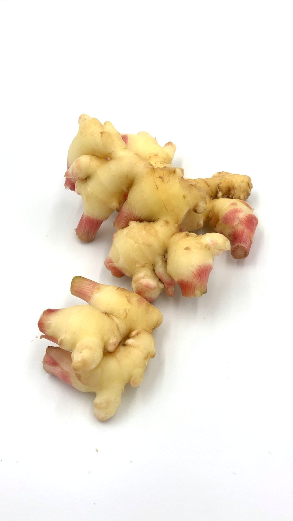 2025年9月出荷商品のご案内