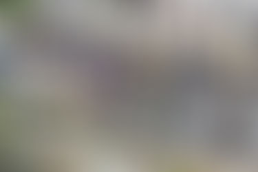 Why Do We Race? (TC18 Director's Cut #3)