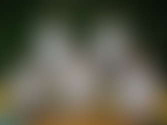 キヤノン株式会社　導入事例