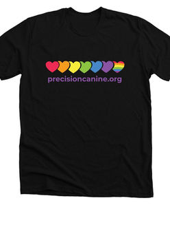 precision4.jpeg