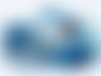 Nelogica em ambiente remoto vale a pena?