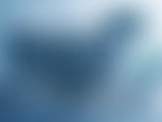 Recursos essenciais de um desktop virtual trader