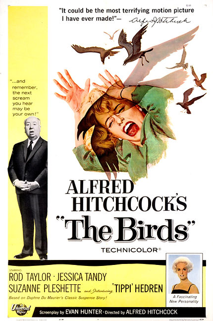 birds.jpg